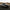 2015–2017 Ford Mustang - Saleen Style Vented Carbon Fiber Front Hood - Exotics Carbon Design