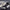 BMW M2 G87 – MP Style Vented Carbon Fiber Front Hood - Exotics Carbon Design