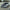 BMW M3 F80 / M4 F82 – Carbon Fiber Vented Front Hood - Exotics Carbon Design