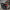 BMW M3 G80 / M4 G82 - Carbon Fiber Track Style Spoiler - Exotics Carbon Design