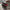 BMW M3 G80 / M4 G82 - Carbon Fiber Track Style Spoiler - Exotics Carbon Design