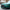 BMW M3/M4 G80/G82 - Carbon Fiber Front Grill - Exotics Carbon Design