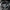Carbon Fiber & Alcantara Steering Wheel – Jaguar F - Type (2014–2020) - Exotics Carbon Design