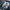 Carbon Fiber Engine Bay Cover – Corvette C8 (2020–2024) - Exotics Carbon Design
