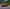 Carbon Fiber Front Lip - BMW M4 F82 (2015–2020) - Exotics Carbon Design