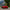 Carbon Fiber Front Lip - BMW M4 F82 (2015–2020) - Exotics Carbon Design