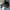 Ford Mustang (2015–2024) – Carbon Fiber Mirror Covers - Exotics Carbon Design