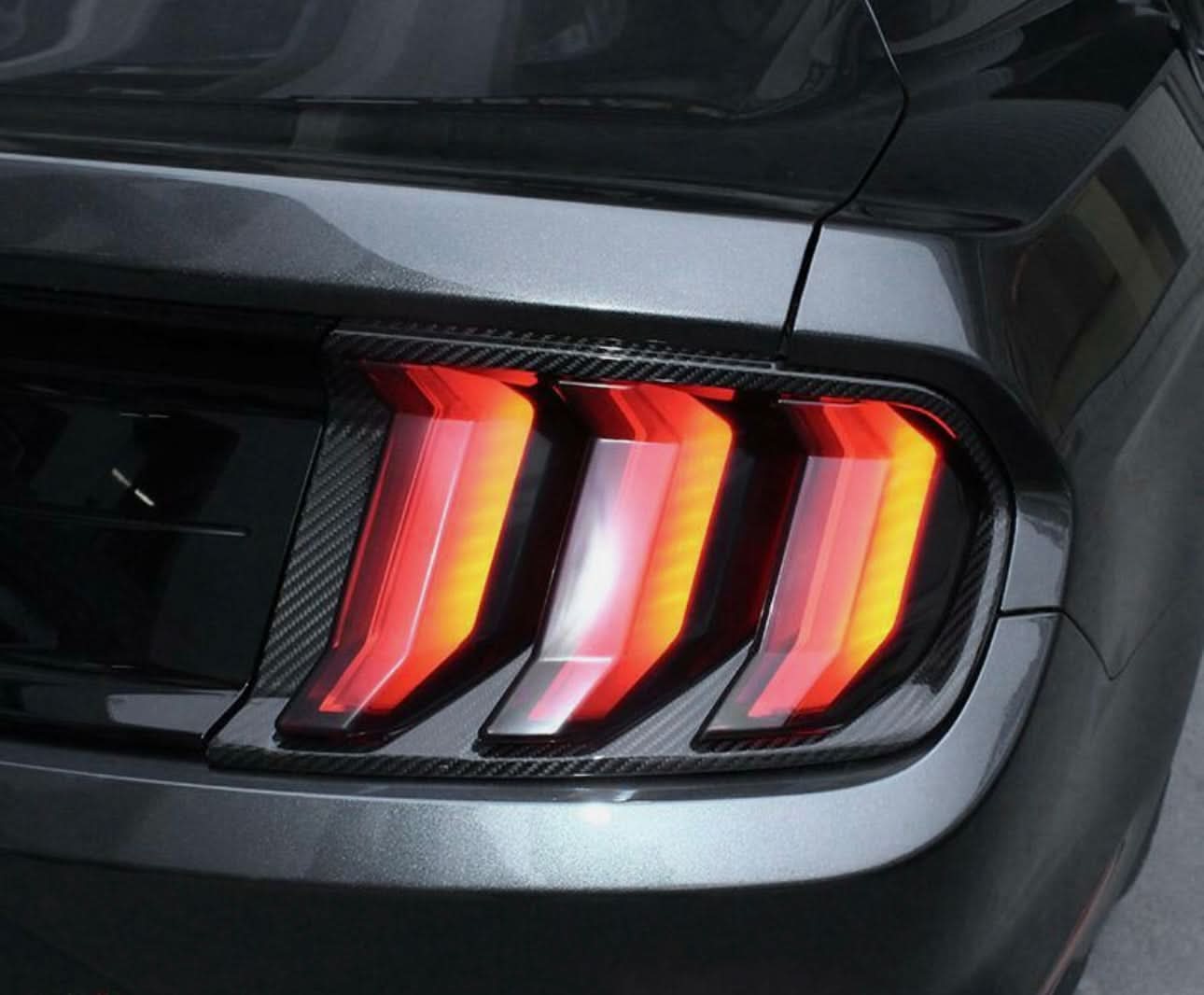 Ford Mustang S550 (2015–2023) – Carbon Fiber Tail Lamp Cover Trim - Exotics Carbon Design