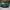 GTS Style Carbon Fiber High Spoiler – BMW G80 M3 / G82 M4 - Exotics Carbon Design
