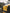 Porsche 718 Cayman GT4 (2017 - 2024) - Carbon Fiber Side Fenders - Exotics Carbon Design