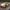 Porsche 718 Cayman GT4 (2017 - 2024) - Carbon Fiber Side Fenders - Exotics Carbon Design