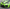 Porsche 911 (991.2) GT2 RS - Carbon Fiber Front Lip - Exotics Carbon Design