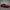 FERRARI 812 - Exotics Carbon Design