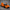 MCLAREN GT - Exotics Carbon Design
