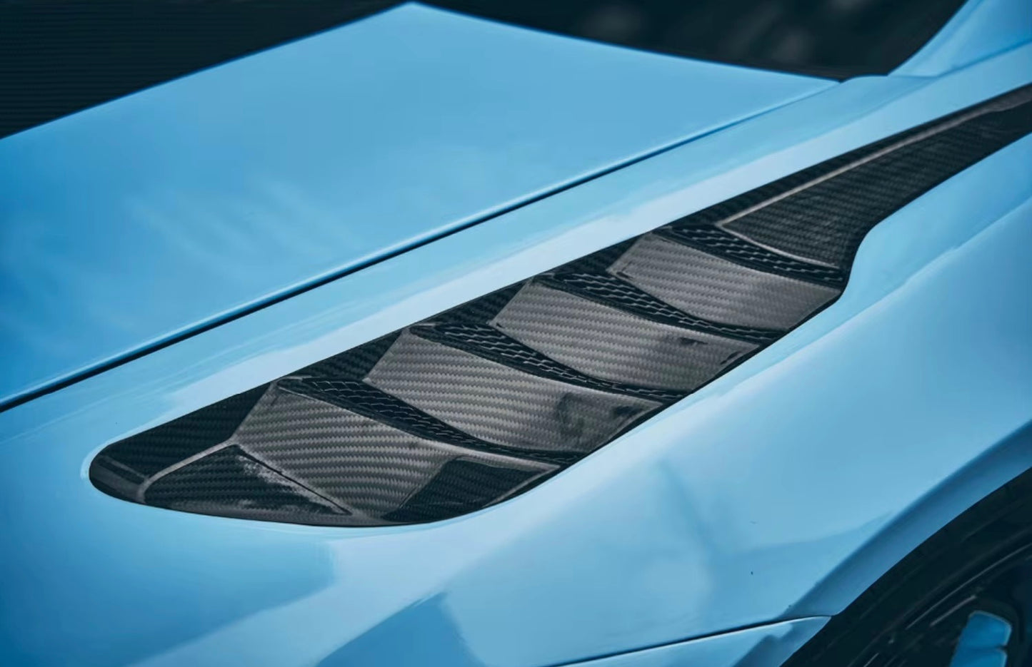 Lamborghini Huracan LP580, LP610 & EVO Carbon Fiber Side Fenders