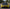 Exotic Design Carbon Fiber Front Hood - Aston Martin Vantage (2019+)