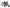 20-23 Porsche 911 (992) Carrera Carbon Fiber Trunk Wing - Exotics Carbon Design