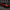 2008-2016 Nissan GT-R R35 - IMP Style Carbon Fiber Hood - Exotics Carbon Design