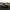 2015–2017 Ford Mustang - Saleen Style Vented Carbon Fiber Front Hood - Exotics Carbon Design