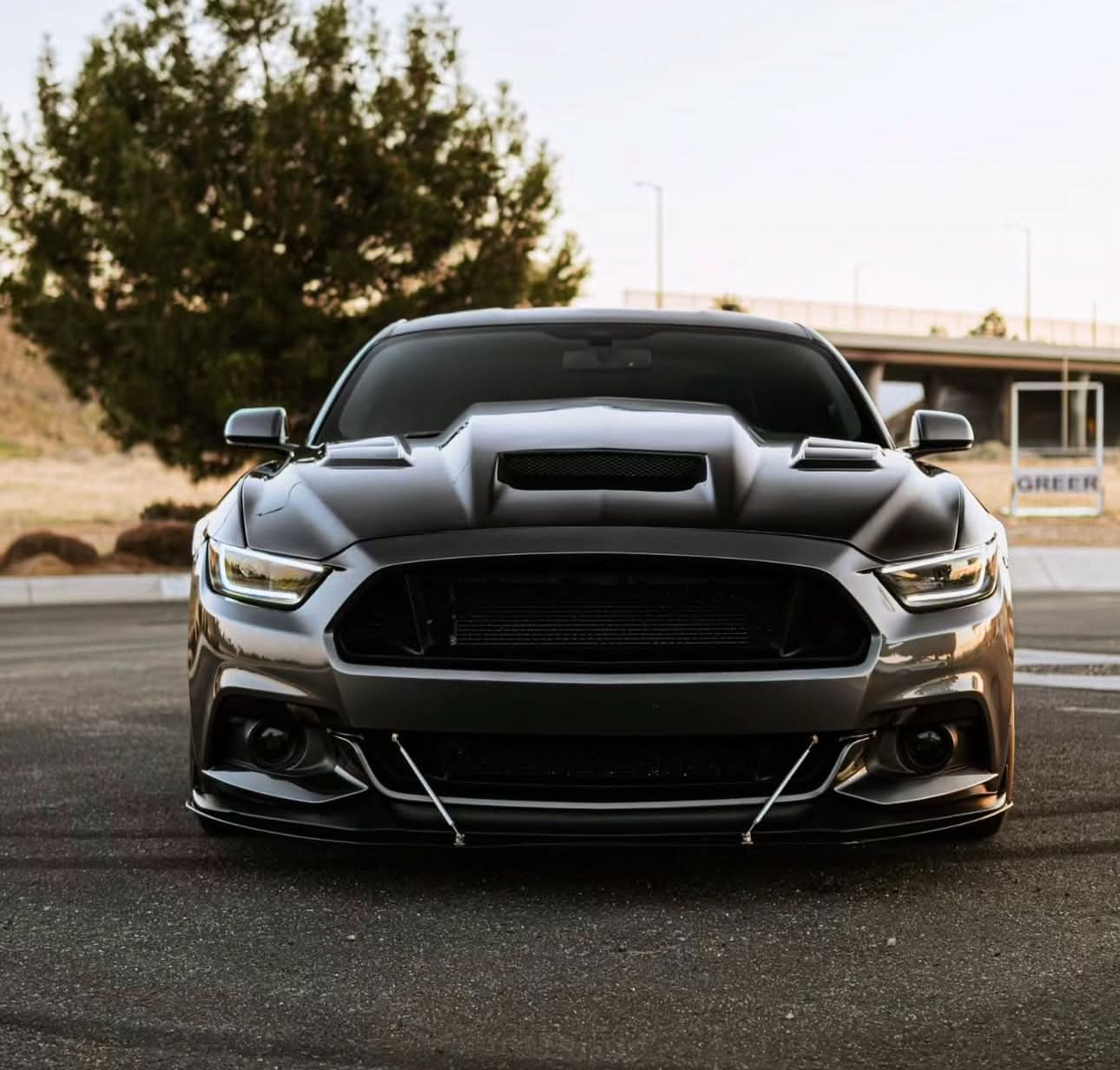 2015–2017 Ford Mustang - Saleen Style Vented Carbon Fiber Front Hood - Exotics Carbon Design