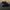 2019+ Audi RS6 C8 Avant – Carbon Fiber Front Lip - Exotics Carbon Design