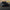 2019+ Audi RS6 C8 Avant – Carbon Fiber Front Lip - Exotics Carbon Design