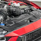 2024+ Ford Mustang S650 - Carbon Fiber Radiator Cover - Exotics Carbon Design