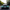 2024+ Ford Mustang S650 GTD Style Carbon Fiber Rear Bumper Diffuser - Exotics Carbon Design
