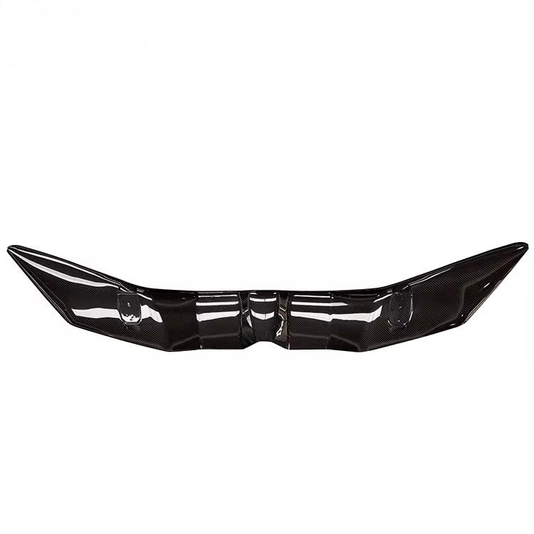 Lamborghini Revuelto Carbon Fiber Rear Wing