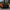 McLaren 540C / 570S / 570GT Pre-Preg Carbon Fiber 600LT Style Rear Spoiler