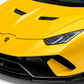 Lamborghini Hurucan Performante - Carbon Fiber Front Lip