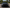 MSY-Style Carbon Fiber Vented Hood - Bentley Continental GT (2019–2025)