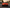 Nissan GT-R R35 (2017-2021) - Carbon Fiber Track Inspired Spoiler