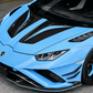 Lamborghini Huracan LP580, LP610 & EVO Carbon Fiber Side Fenders