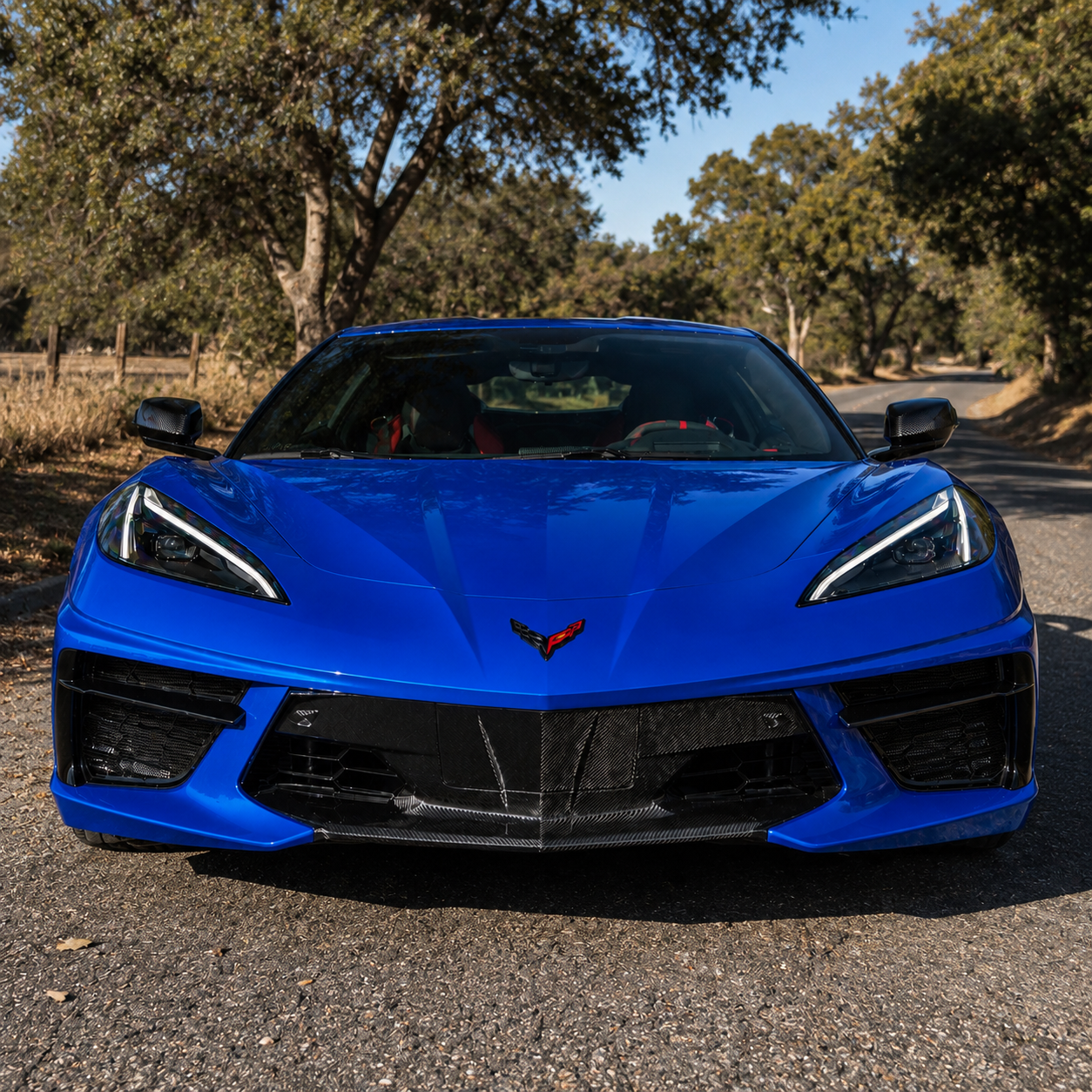 Corvette C8 - Carbon Fiber Front Fascia Panel