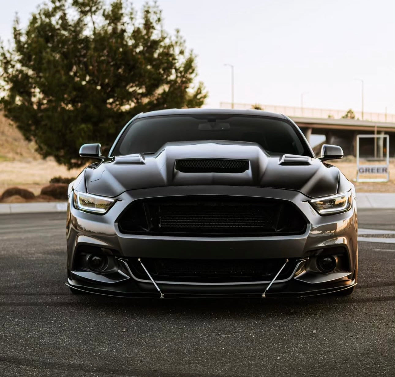 2015–2017 Ford Mustang - Saleen Style Vented Carbon Fiber Front Hood - Exotics Carbon Design