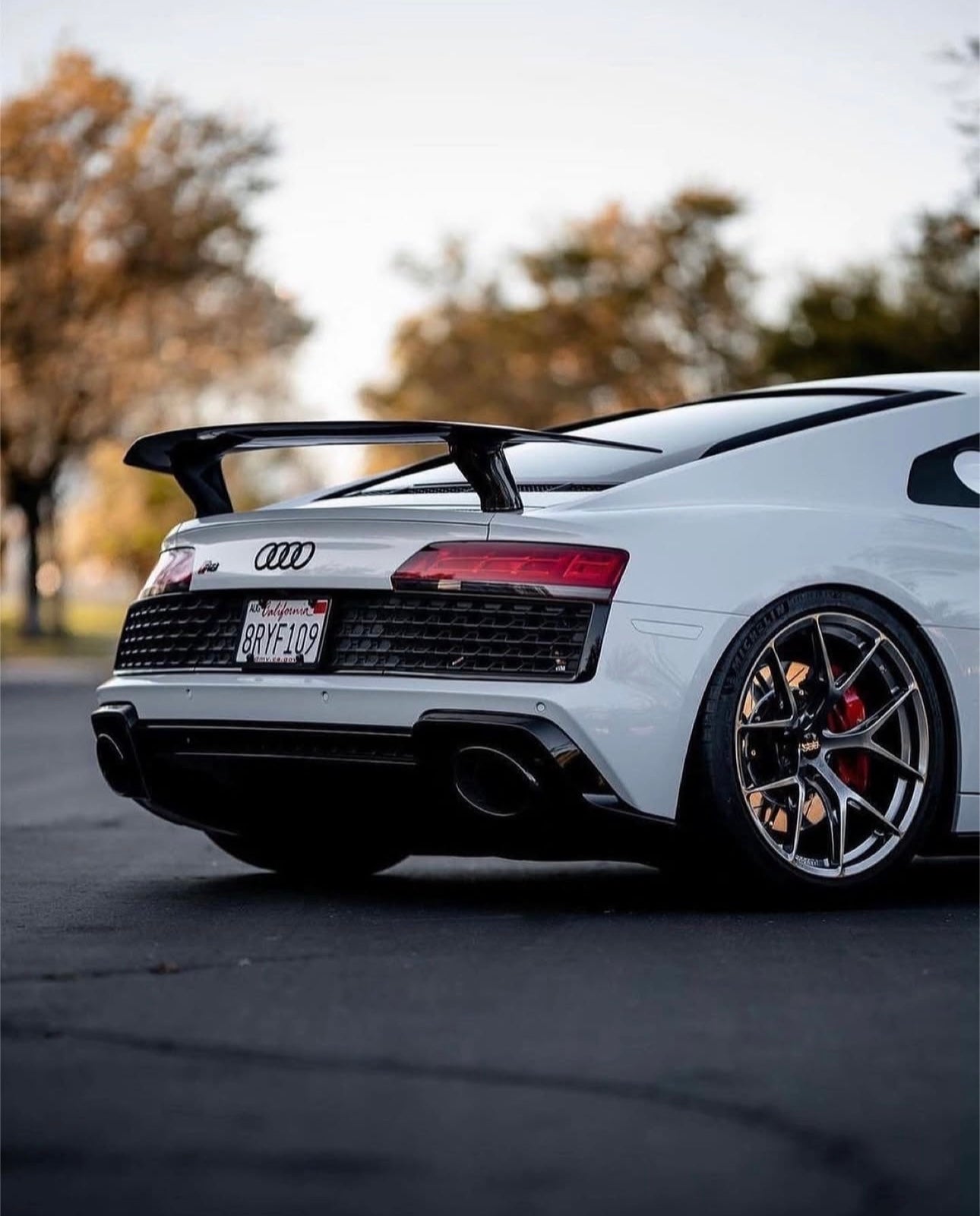 Audi R8 (2016-2024) - Carbon Fiber Track-Inspired Rear Wing - Exotics Carbon Design