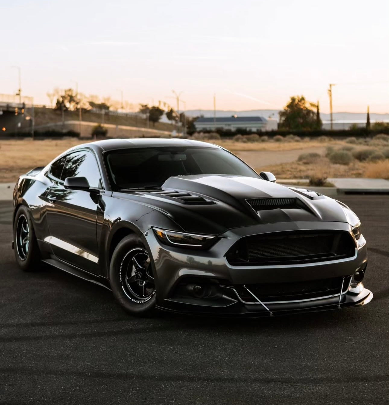 2015–2017 Ford Mustang - Saleen Style Vented Carbon Fiber Front Hood - Exotics Carbon Design