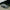 BMW M3 F80 / M4 F82 – Carbon Fiber Vented Front Hood - Exotics Carbon Design