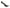 Tesla Model Y (2020-2024) - Carbon Fiber Rear Diffuser Lip - Exotics Carbon Design
