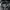 Carbon Fiber & Alcantara Steering Wheel – Jaguar F-Type (2014–2020) - Exotics Carbon Design