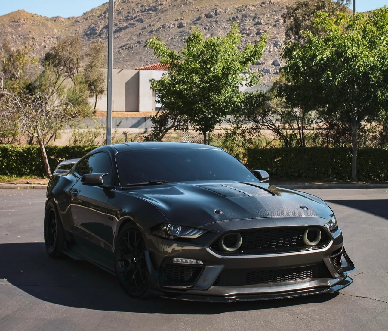 Carbon Fiber Vented Hood - Ford Mustang S550.1/S550.2 (2015–2023) - Exotics Carbon Design
