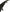 Carbon Fiber High Wing - Chevrolet Corvette C8 (2020–2024) - Exotics Carbon Design