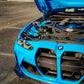BMW M4 G82 Carbon Fiber Front Grill - Exotics Carbon Design