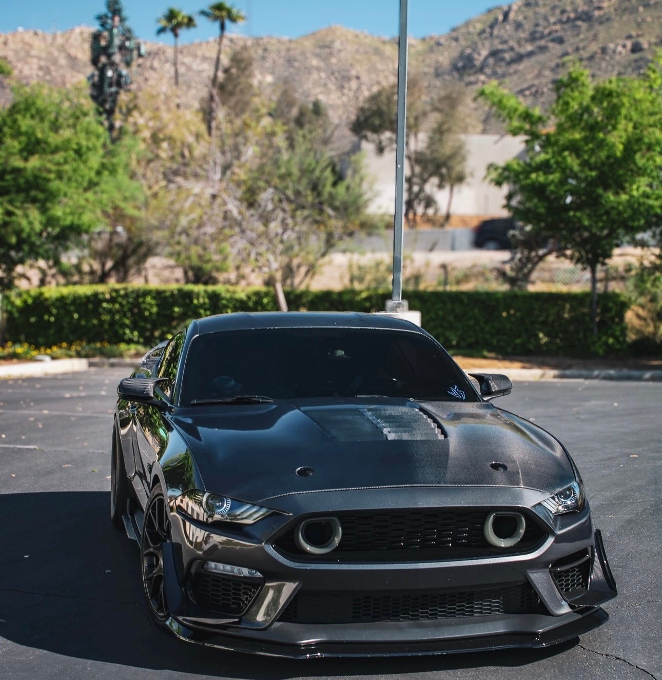 Carbon Fiber Vented Hood - Ford Mustang S550.1/S550.2 (2015–2023) - Exotics Carbon Design
