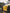 Porsche 718 Cayman GT4 (2017-2024) - Carbon Fiber Side Fenders - Exotics Carbon Design