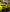 Corvette C8 Z06 - ED Style Carbon Fiber Rear Diffuser - Exotics Carbon Design