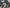 (2020+) Audi R8 V10 - Carbon Fiber Engine Bay Panels - Exotics Carbon Design
