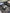 (2020+) Audi R8 V10 - Carbon Fiber Engine Bay Panels - Exotics Carbon Design