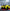 Carbon Fiber ZR1 Style High Wing- Corvette C8 / Z06 - Exotics Carbon Design